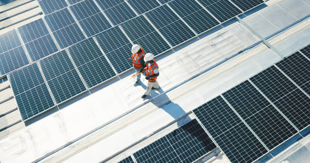 Best Roof Moss and Algae Removal  in Rosamond, CA