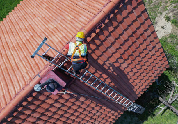 Best Sheet Metal Roofing  in Rosamond, CA
